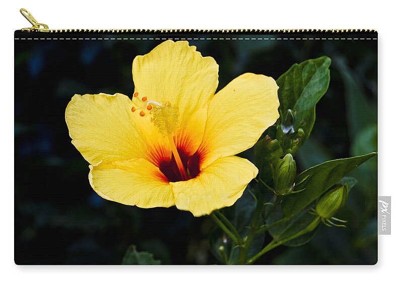 Botanic Zip Pouch featuring the photograph Yellow and Red Hibiscus by Christi Kraft
