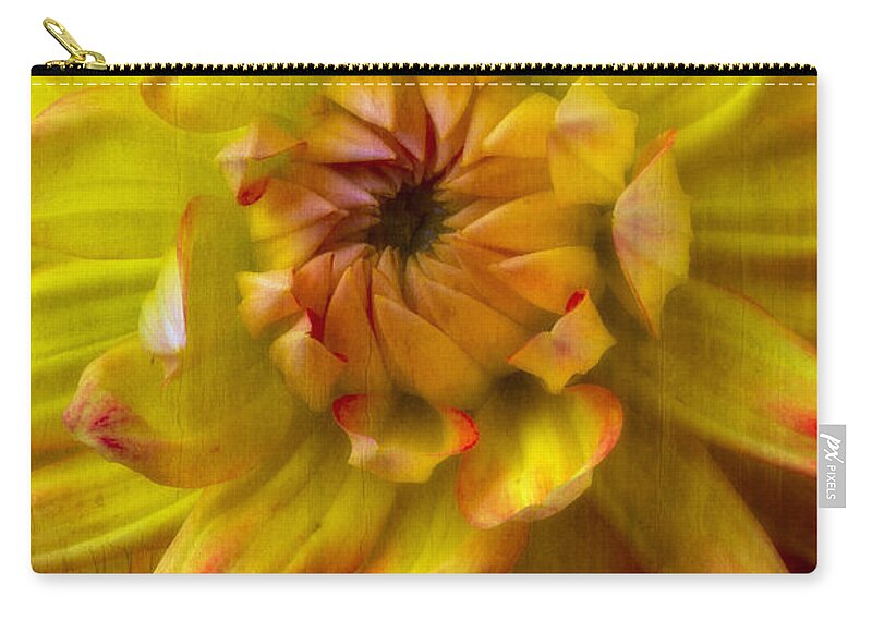 Yellow Dahlia Zip Pouch featuring the photograph Yellow dahlia by Garry Gay