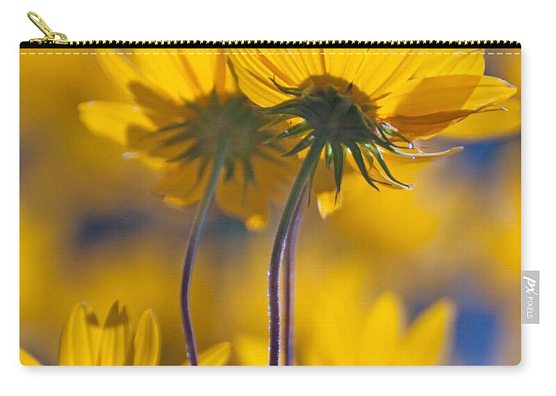 Flower Zip Pouch featuring the photograph Yellow Flowers by Susan Cliett