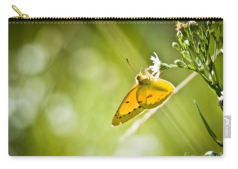  Zip Pouch featuring the photograph Yellow friend by Cheryl Baxter