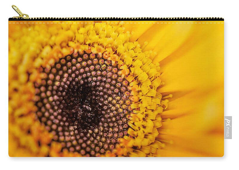 Yellow Gerbera Zip Pouch featuring the photograph Yellow Gerbera Squared by TK Goforth