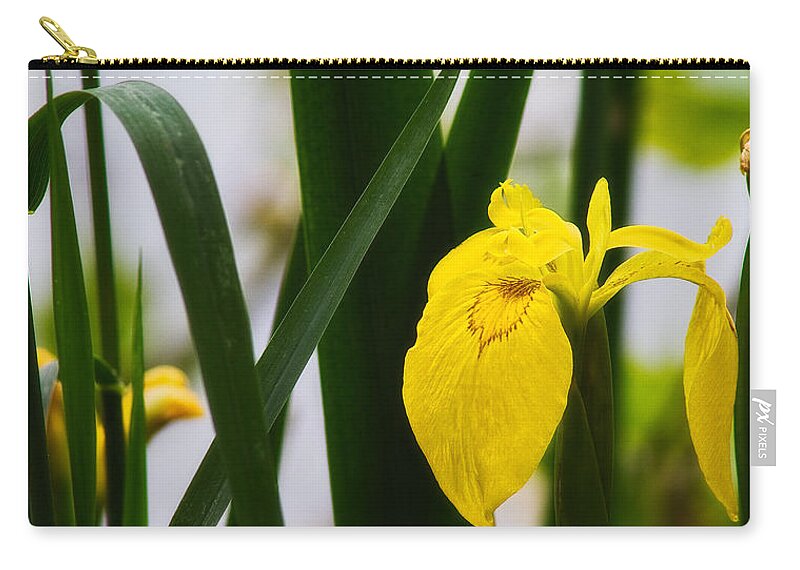 Europe Zip Pouch featuring the photograph Yellow iris by Roberto Pagani