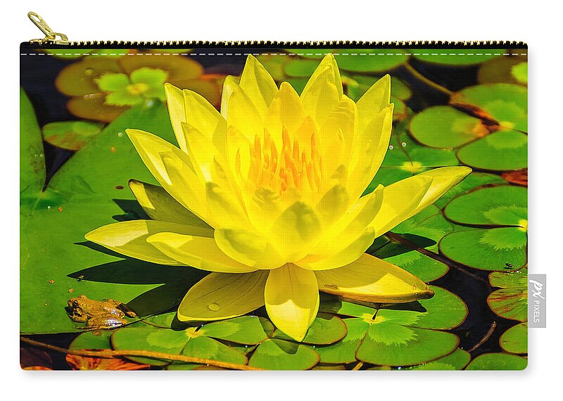 Yellow Zip Pouch featuring the photograph Yellow Lily by John Johnson