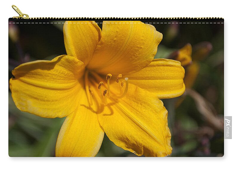 Plant Zip Pouch featuring the photograph Yellow Lily by Tikvah's Hope