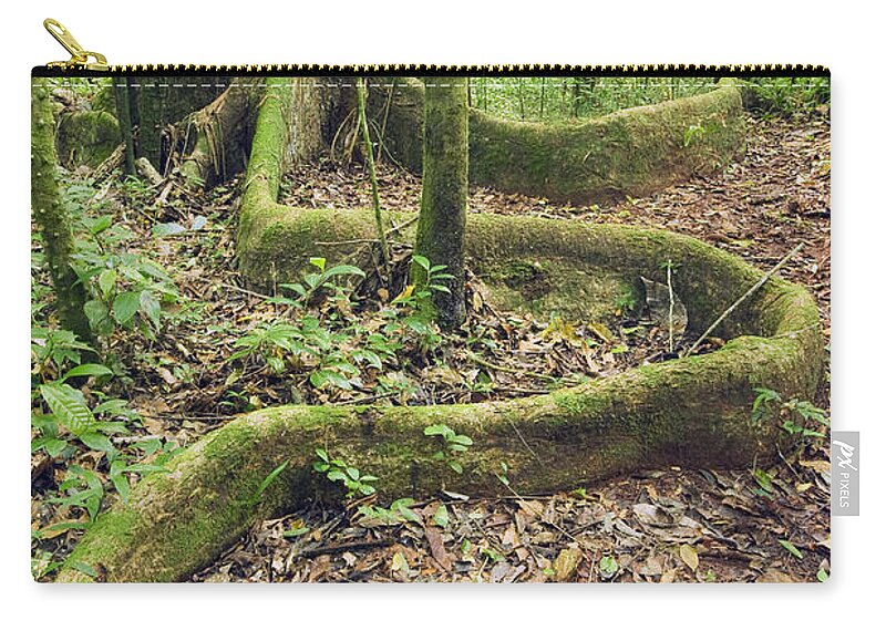 Feb0514 Zip Pouch featuring the photograph Yellow Mombin Buttress Root Los by Kevin Schafer