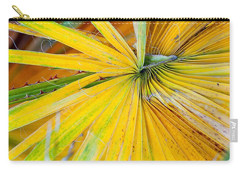 Leaf Zip Pouch featuring the photograph Yellow Palm 1 by Stephen Anderson