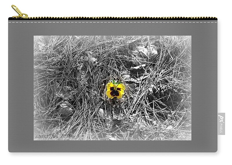Pansy Zip Pouch featuring the photograph Yellow Pansy by Tara Potts