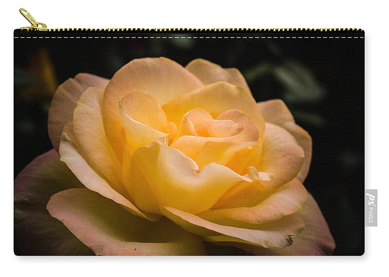 New England Zip Pouch featuring the photograph Yellow ray of sunshine by Jeff Folger