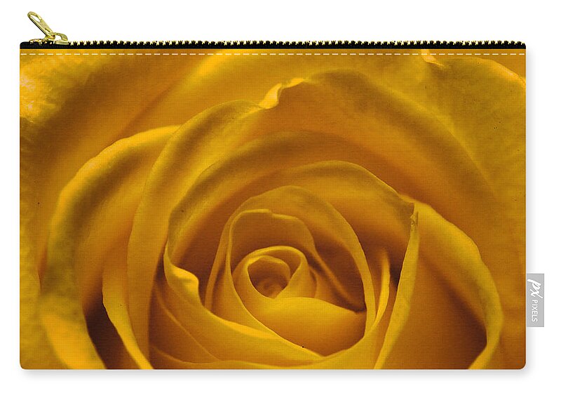 Love Zip Pouch featuring the photograph Yellow Rose by Amanda Mohler