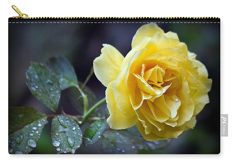 Yellow Zip Pouch featuring the photograph Yellow Rose by Farol Tomson