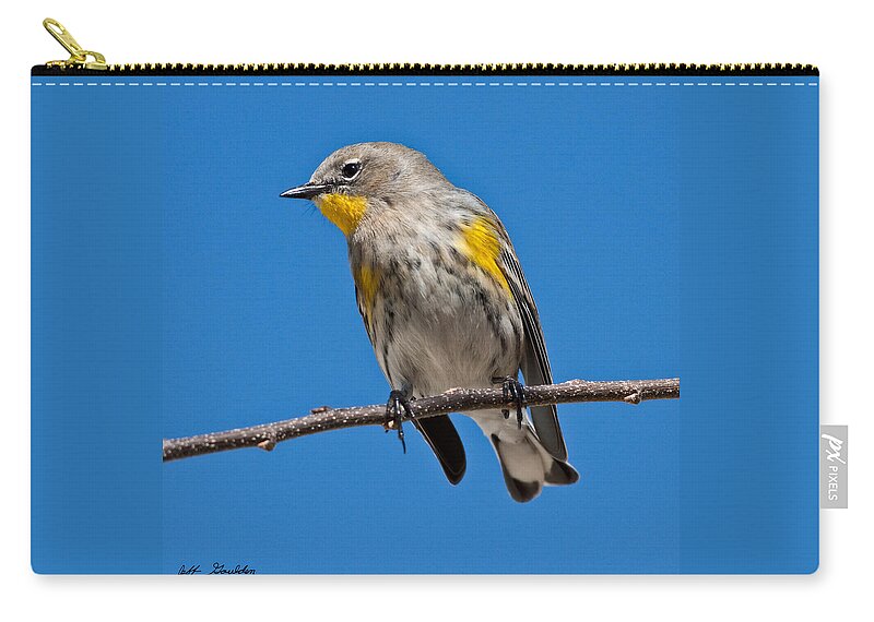 Adult Carry-all Pouch featuring the photograph Yellow-Rumped Warbler by Jeff Goulden