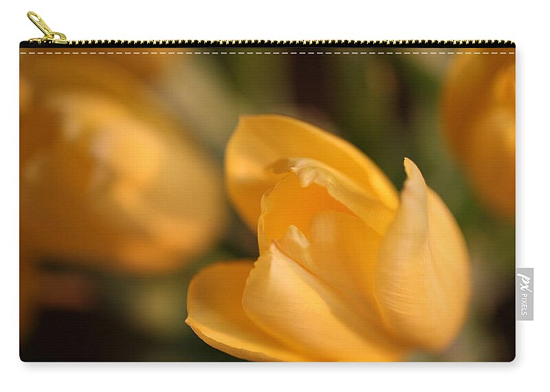 Tulip Zip Pouch featuring the photograph Yellow Tulip by John Magyar Photography