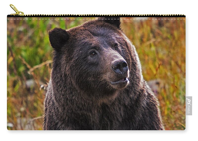 Fall Zip Pouch featuring the photograph Yellowstone Griz by Mark Kiver