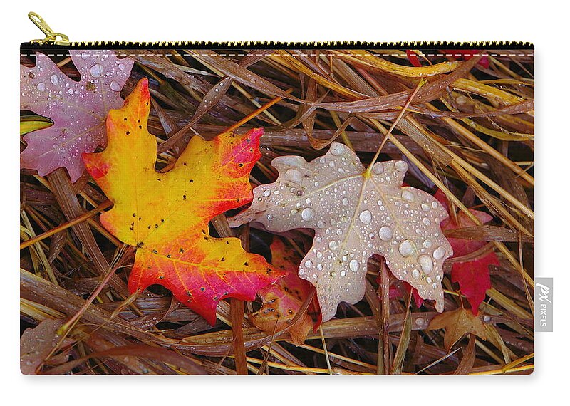 Autumn Leafs Zip Pouch featuring the photograph Yin Yang by David Andersen