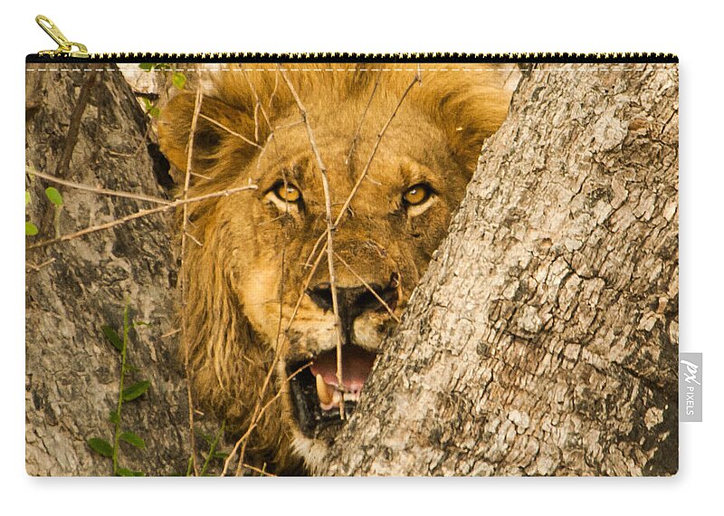 Africa Zip Pouch featuring the photograph You can't see me by Alistair Lyne