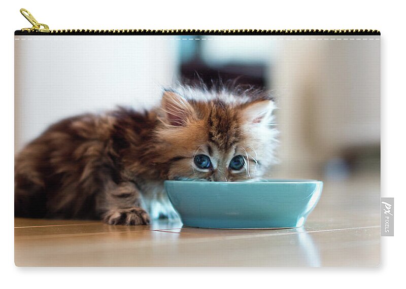 Kitten Zip Pouch featuring the photograph Young Kitten Eating From Blue Bowl by Benjamin Torode