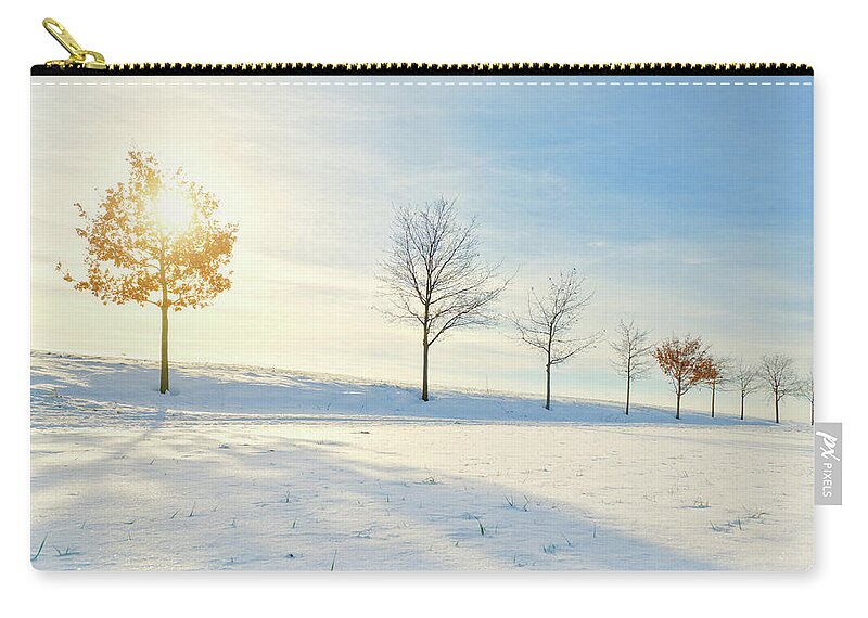 Scenics Zip Pouch featuring the photograph Young Oak In Winter Sun by Kerrick