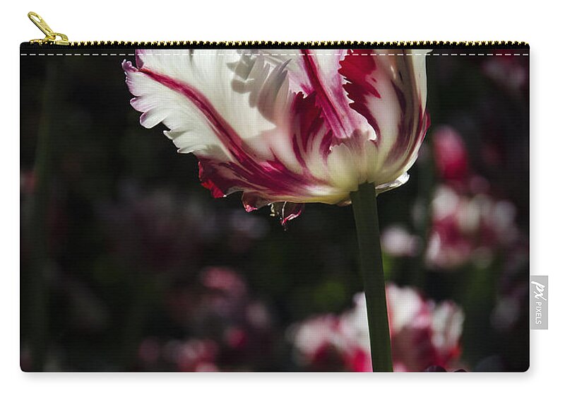 Tulip Zip Pouch featuring the photograph You're The Only One I See by Sandra Parlow