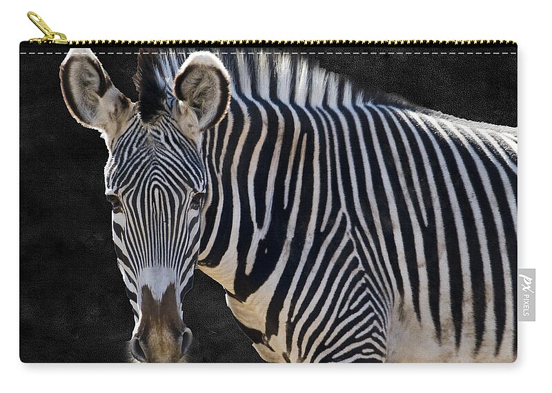 Animal Zip Pouch featuring the photograph Z is for Zebra by Juli Scalzi