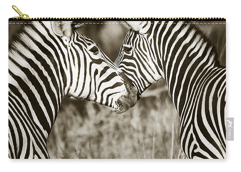 Burchell's Zebra Zip Pouch featuring the photograph Zebra affection by Liz Leyden