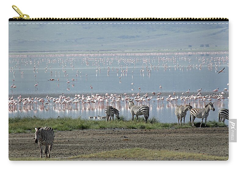 Zebra Zip Pouch featuring the photograph Zebra and Flamingo by Tony Murtagh