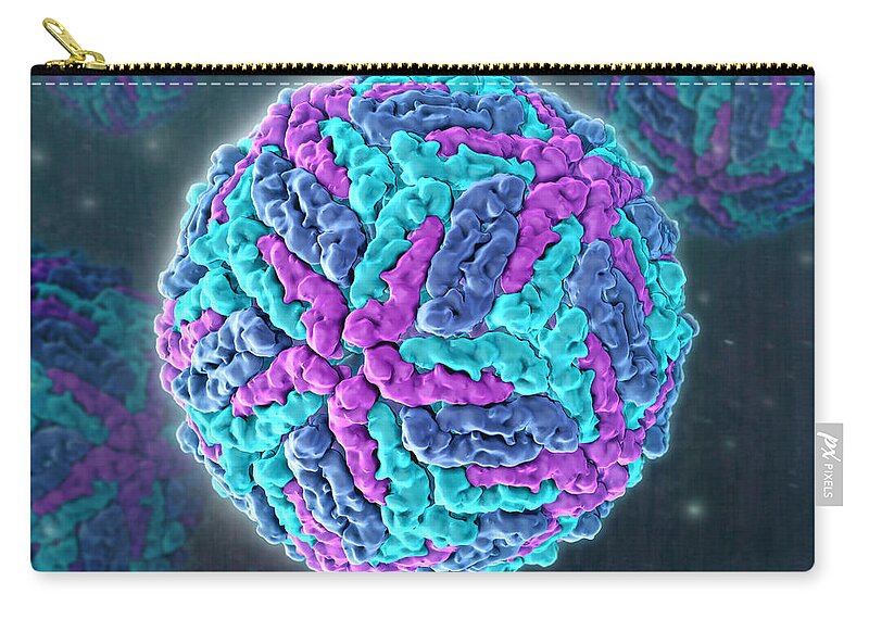 Model Zip Pouch featuring the photograph Zika Virus, Molecular Model by Evan Oto