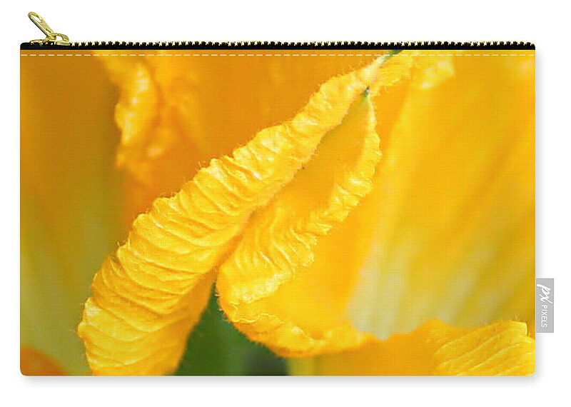 Zucchini Flowers Zip Pouch featuring the photograph Zucchini Flowers in May by Kume Bryant
