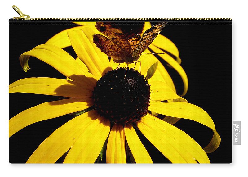 Butterfly Zip Pouch featuring the photograph Frantilly Butterfly On A Black Eyed Susan by Kim Galluzzo