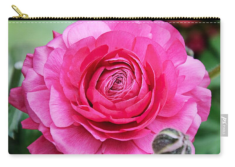 Ranunculus Zip Pouch featuring the photograph The Essence And Elegance Of Pink by Andee Design