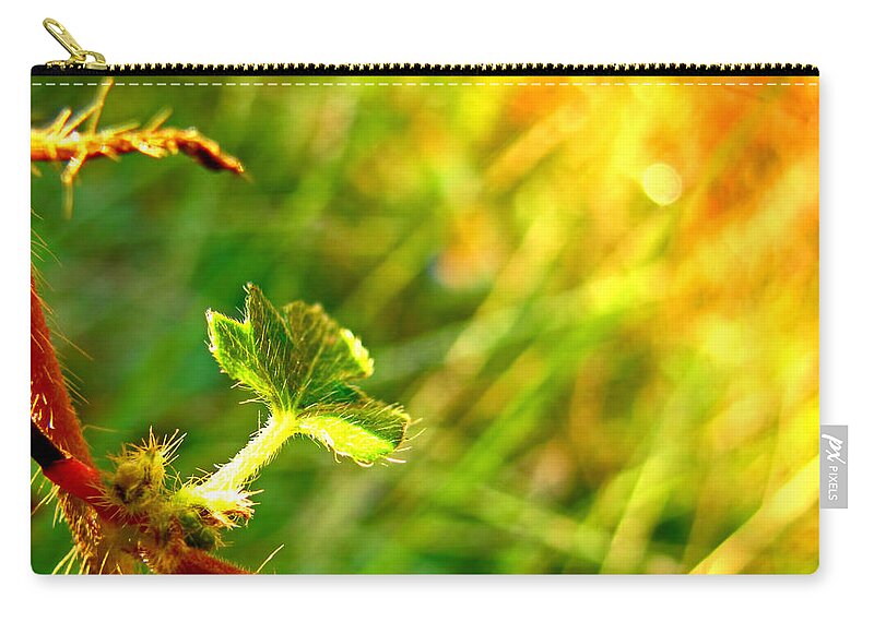 Nature Zip Pouch featuring the photograph A new Morning by Debbie Portwood