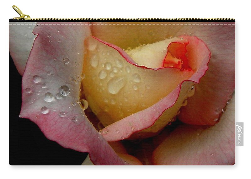 Rose Zip Pouch featuring the photograph Absolute Beauty #1 by Kim Galluzzo