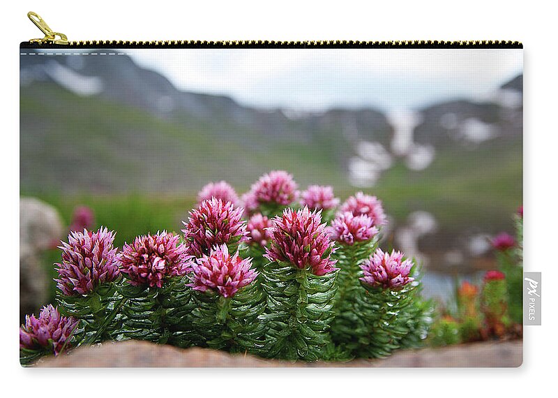 Alpine Flowers Zip Pouch featuring the photograph Alpine Bouquet by Jim Garrison