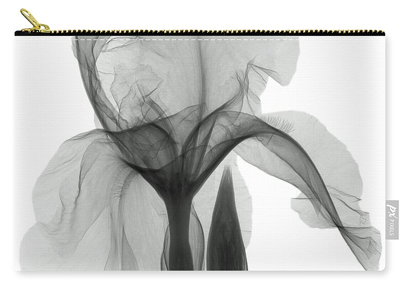 Xray Zip Pouch featuring the photograph An X-ray Of An Iris Flower #1 by Ted Kinsman