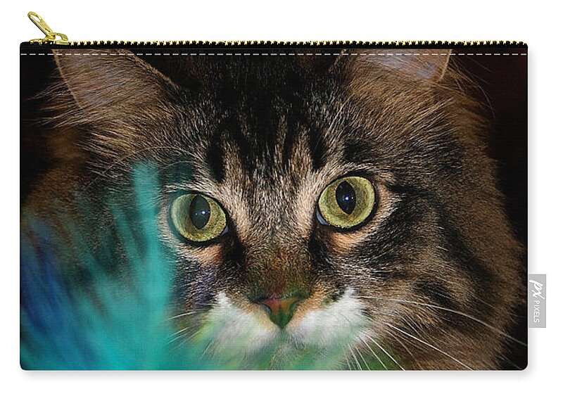 Cat Zip Pouch featuring the photograph Blue Boa #1 by Susan Herber
