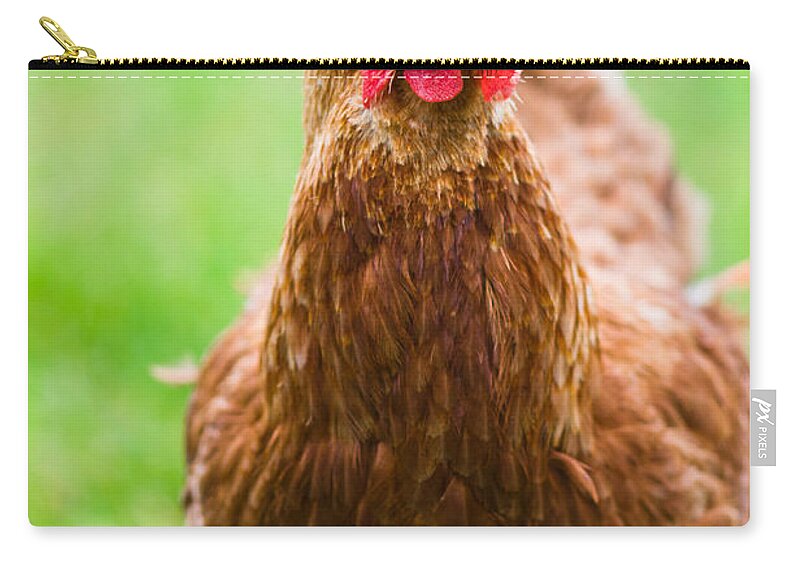 Animal Zip Pouch featuring the photograph Brown hen on a lawn #1 by U Schade