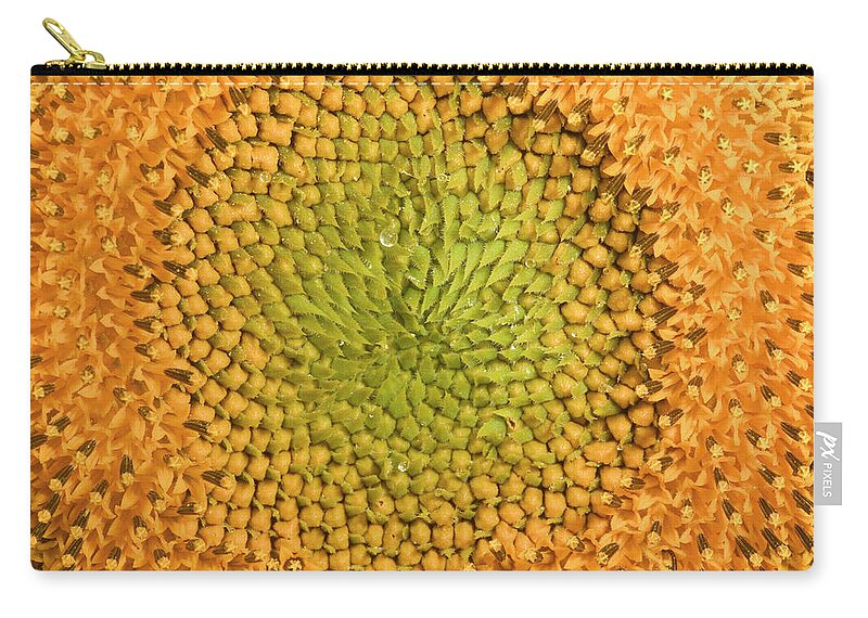 Mp Zip Pouch featuring the photograph Common Sunflower Helianthus Annuus #1 by Cyril Ruoso