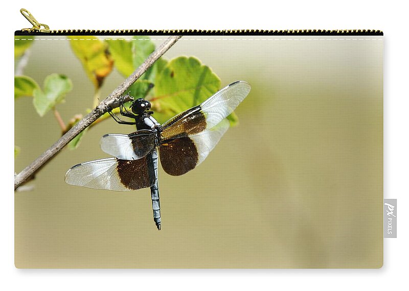 Dragonfly Zip Pouch featuring the photograph Dragonfly #1 by Alan Hutchins