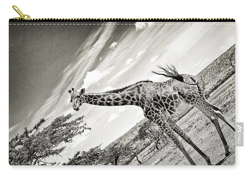 Africa Zip Pouch featuring the photograph Female Giraffe #2 by Perla Copernik