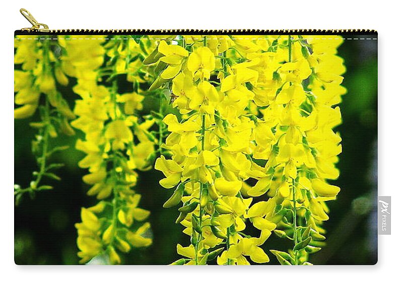 Yellow Zip Pouch featuring the photograph Golden Chain Tree by Jeff Heimlich