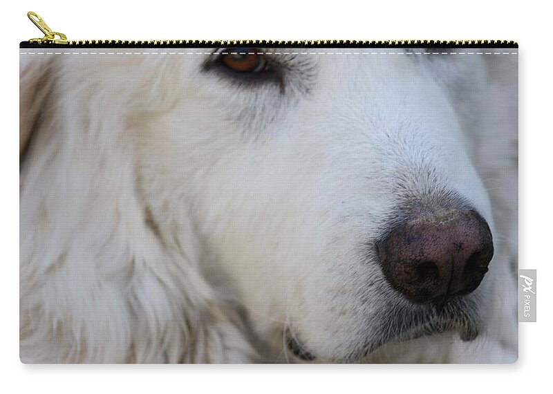 Dog Carry-all Pouch featuring the photograph Great Pyrenees by Kim Galluzzo Wozniak