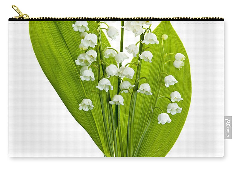 Flower Zip Pouch featuring the photograph Lily-of-the-valley flowers #4 by Elena Elisseeva