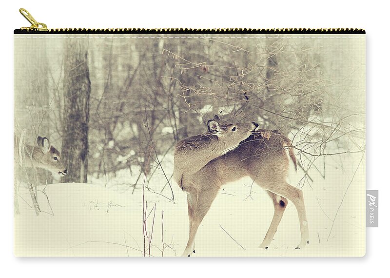 Deer Zip Pouch featuring the photograph Looking Back #1 by Karol Livote