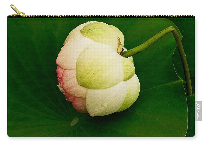 Flower Zip Pouch featuring the photograph Lotus #1 by Jean Noren