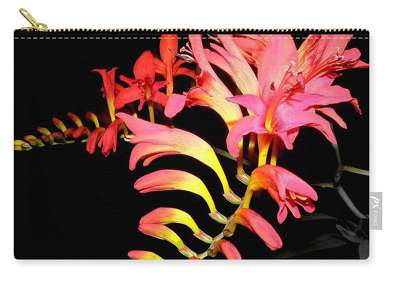 Flowers Zip Pouch featuring the photograph Night Beauty #1 by Kim Galluzzo