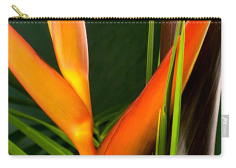 Flowers Zip Pouch featuring the photograph Photograph of a Parrot Flower Heliconia #1 by Perla Copernik