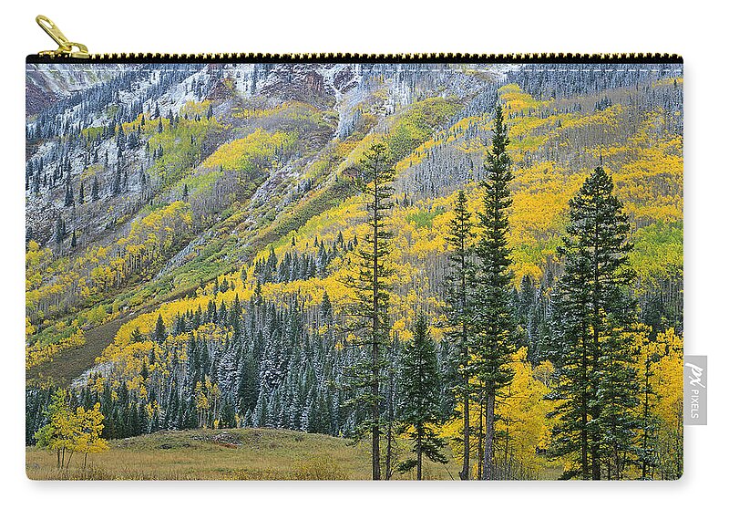 00175668 Zip Pouch featuring the photograph Quaking Aspen Grove In Fall Colors #1 by Tim Fitzharris