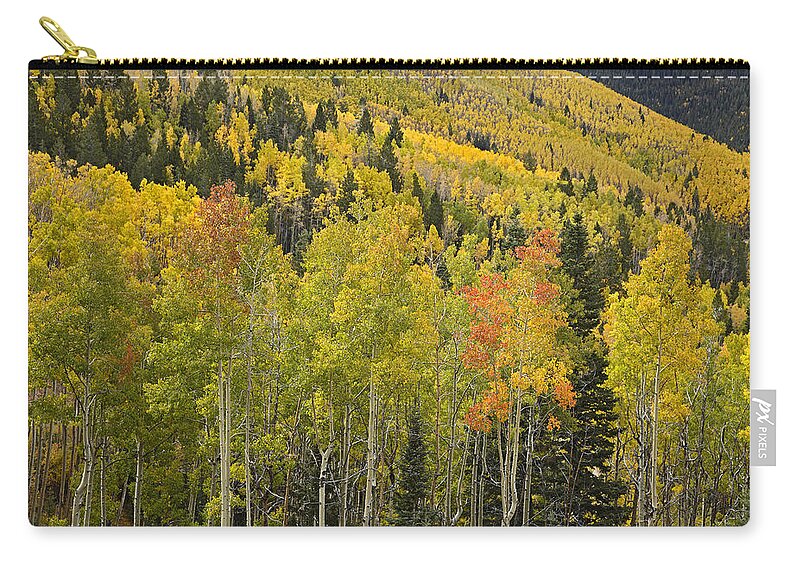 00438923 Zip Pouch featuring the photograph Quaking Aspen Trees In Autumn Santa Fe #1 by Tim Fitzharris