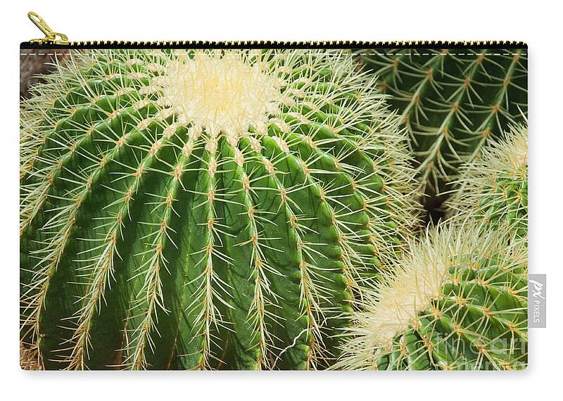 Cactus Zip Pouch featuring the photograph Round Cactus #1 by Dejan Jovanovic