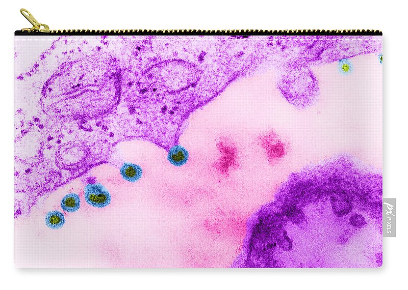 Micrograph Zip Pouch featuring the Rubella Virus German Measles, Tem #1 by Science Source