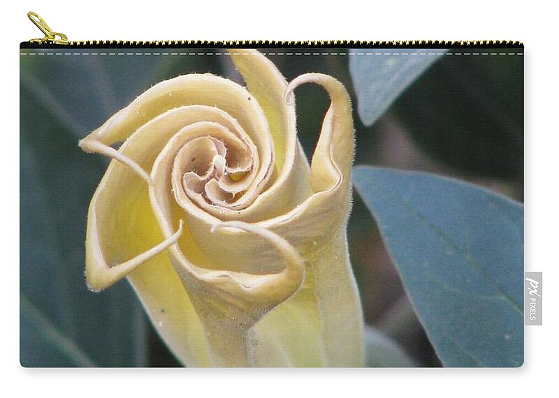 Sacred Datura Zip Pouch featuring the photograph Sacred Datura by Michele Penner